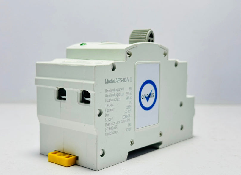 Din Rail 2P ATS Dual Power Automatic Transfer Switch Electrical Selector Switches Uninterrupted Power 110V 220V 63A