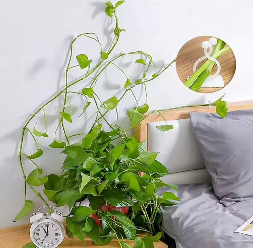 50pcs Plant Vine Climbing Clip Invisible Wall Self-adhesive Fixator Garden Plant Vine Climbing Fixed Support